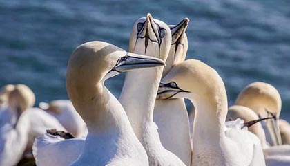 开云官方-青年运动员成长环境持续优化，青年运动员成长环境持续优化措施