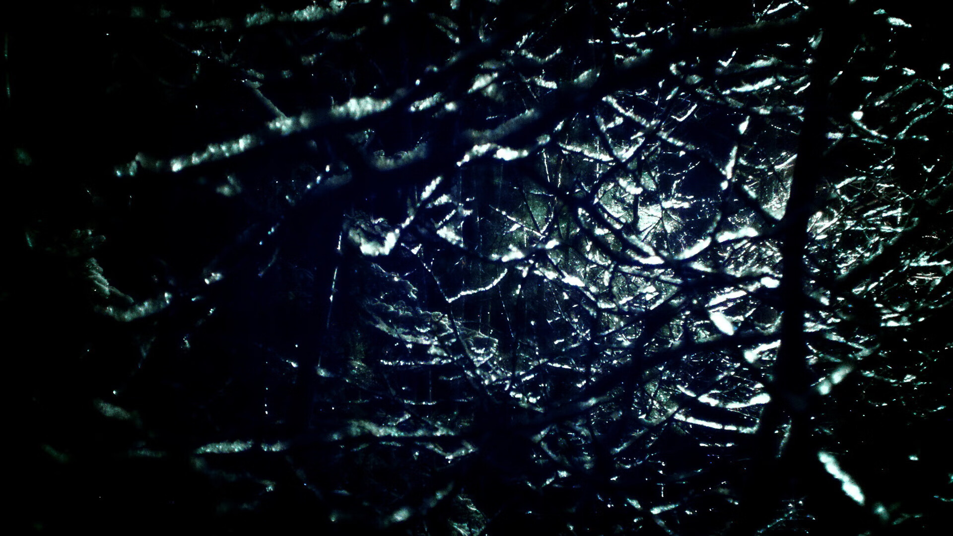 _国际跳水赛：空中优雅与力度完美结合_，国际跳水比赛有哪些