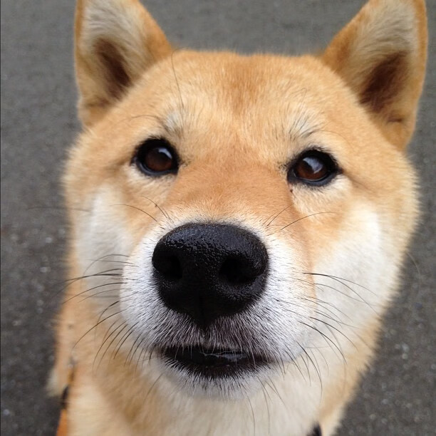 开云在线直播-_勇士开启无敌三分雨，比赛精彩纷呈_，勇士三节120分