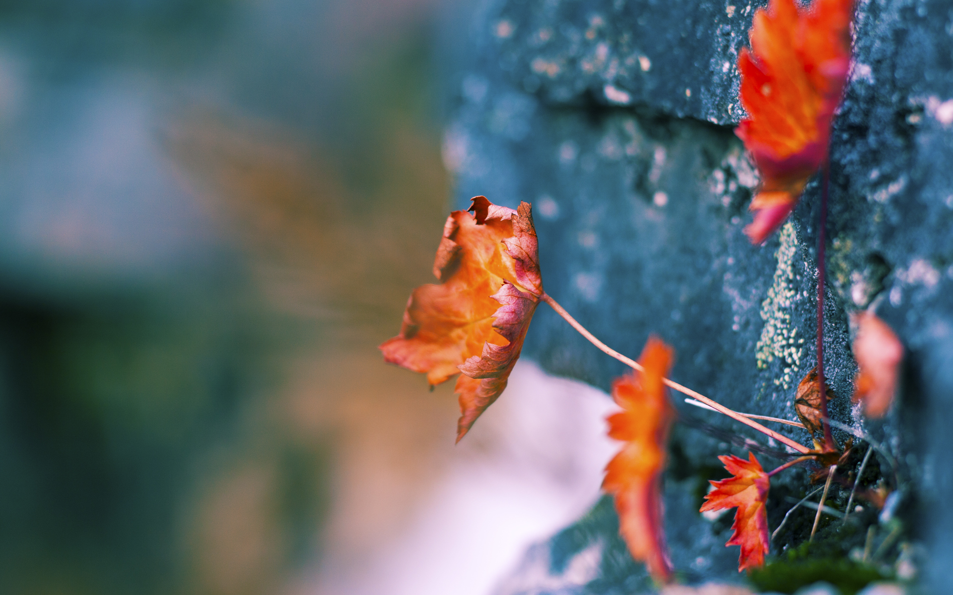 _水上漂移:速度、技巧与浪花交织_,水上漂教程