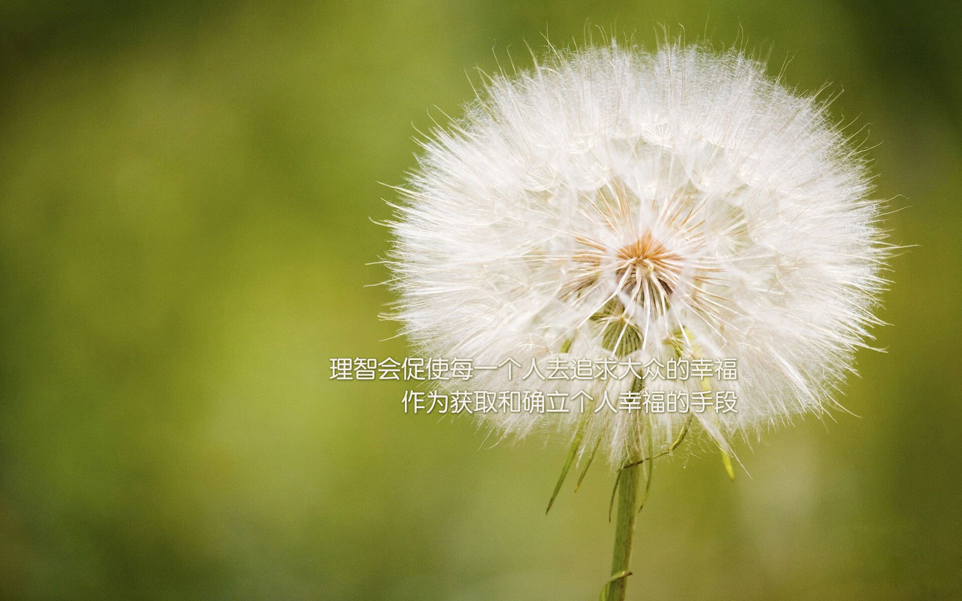 “中超豪门争冠局势逐渐明朗”,中超豪门哪家强