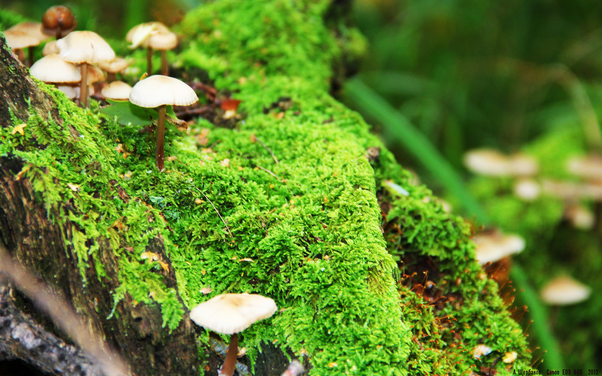 开云体育在线-“本土教练崭露头角，中超竞争更激烈”，中超本土教练都有谁