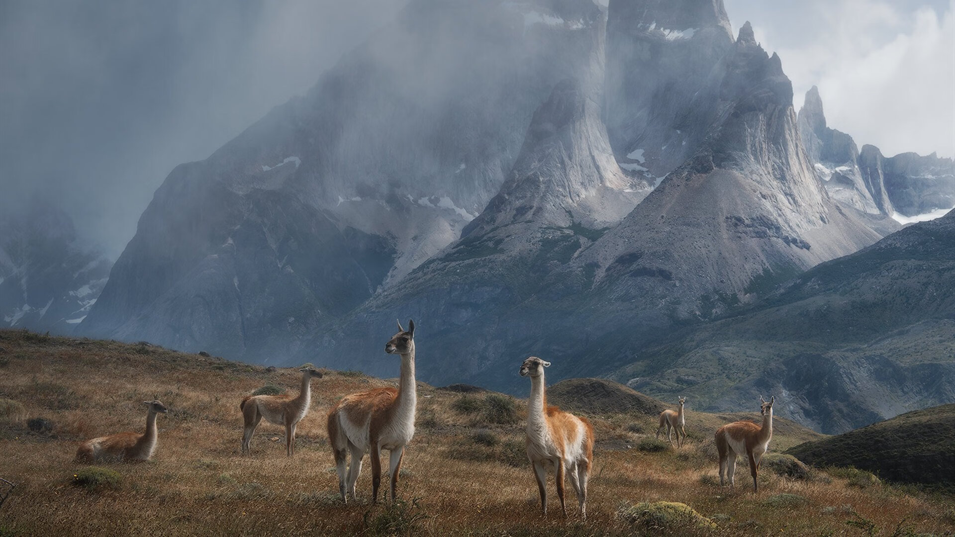 《新兴游戏类型：卡牌、策略也能登上电竞舞台》，卡牌游戏行业分析