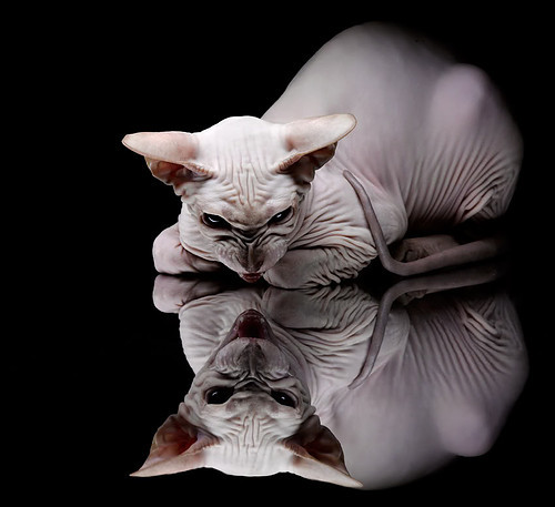 全国青少年“挑战极限”户外篮球趣味赛在西藏拉开序幕,激发青少年勇气