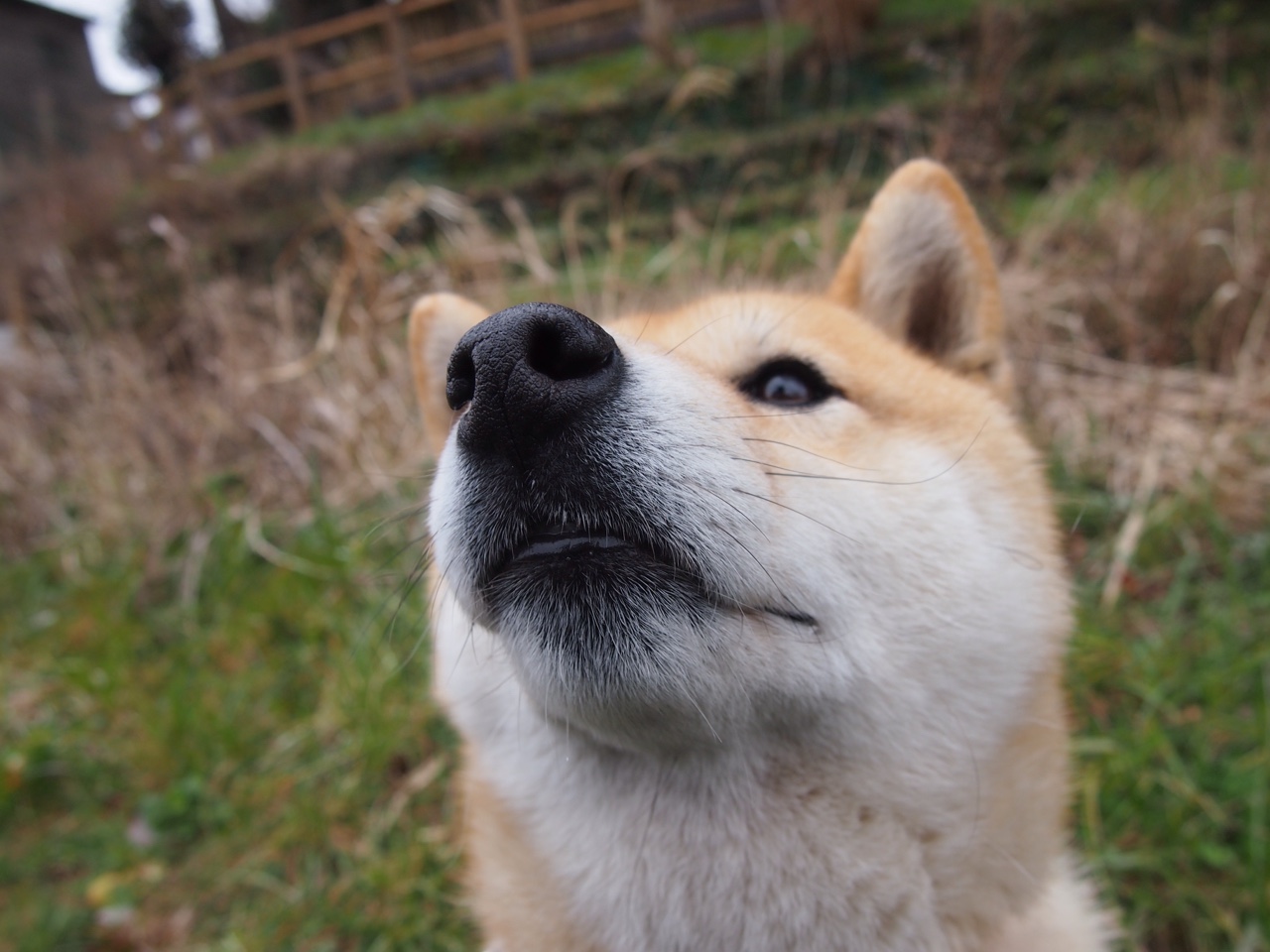 开云中国官网-意甲高效率射门，精彩进球和守门神扑救成为焦点，意甲射门榜