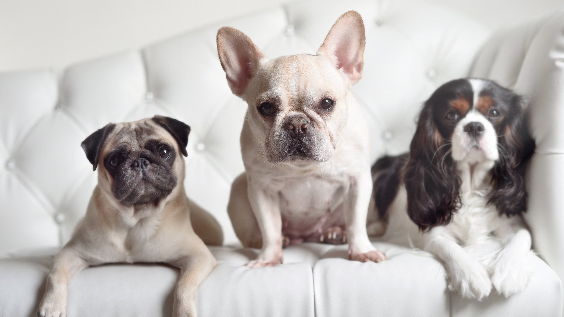 开云体育移动版-日本足球青训成果显著，日本青少年足球青训大纲