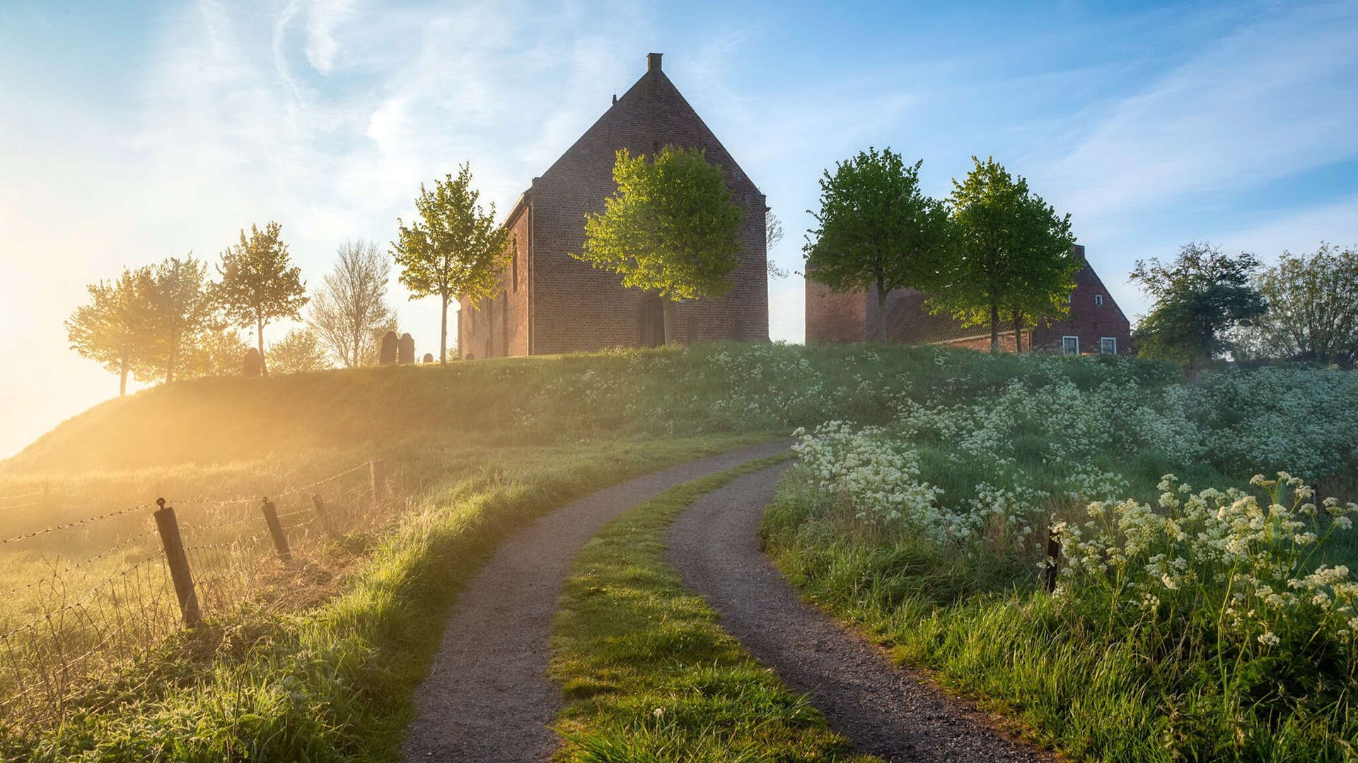 法国举办篮球社区联赛,法国篮球队 fall