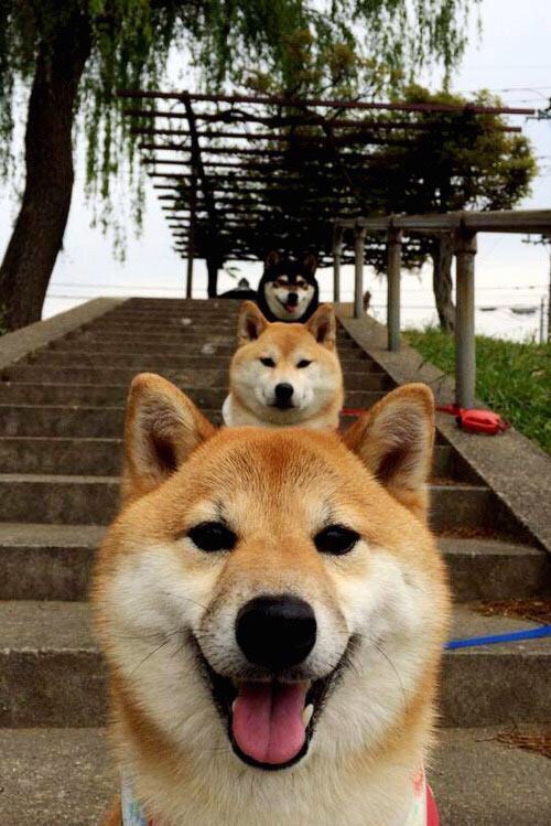 法甲夜场大战，精彩传球和精彩扑救交相辉映，法甲足球比赛