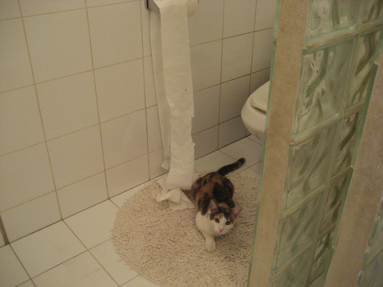 开云-科技创新助推足球现场观赛体验新升级，观看现场足球比赛