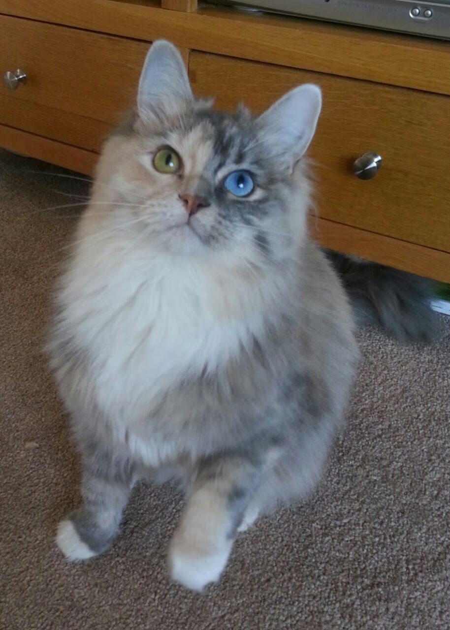 观赛指南:如何一眼看出比赛的精彩程度,比赛怎么看