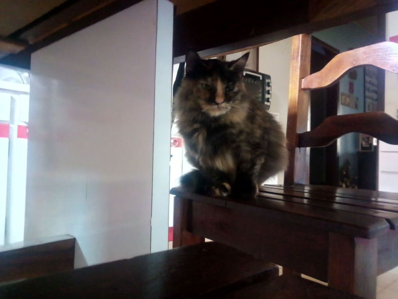 Faker职业生涯总击杀数突破3000大关,faker职业生涯胜率