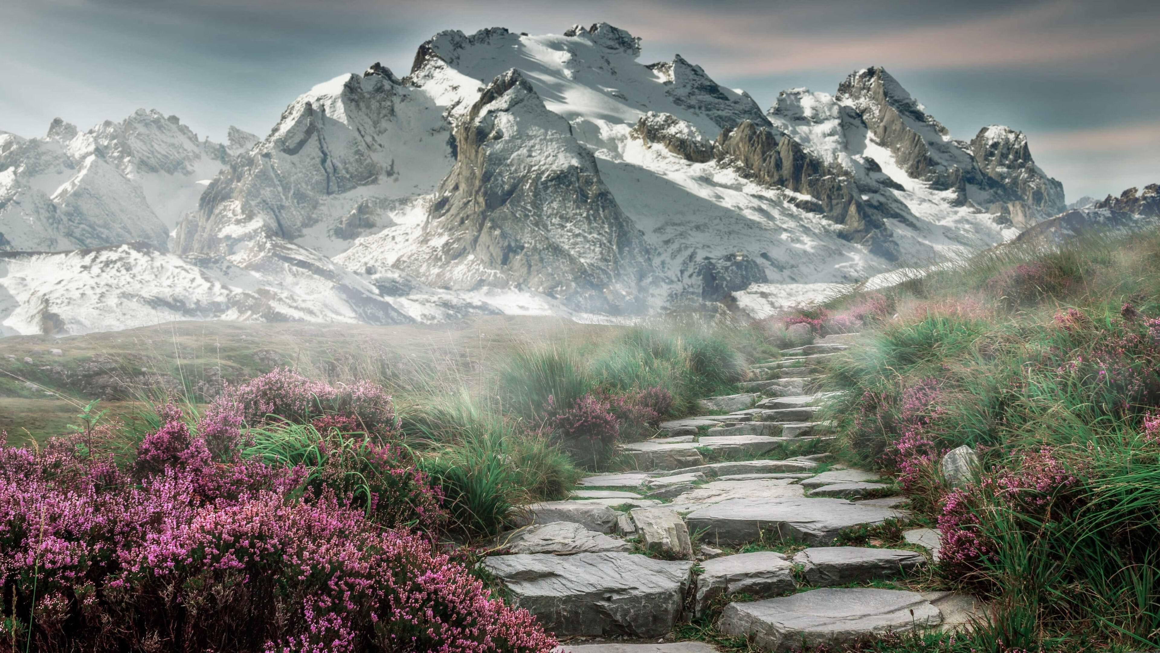 开云平台-LCS战队商业运营能力提升，lck运营体系