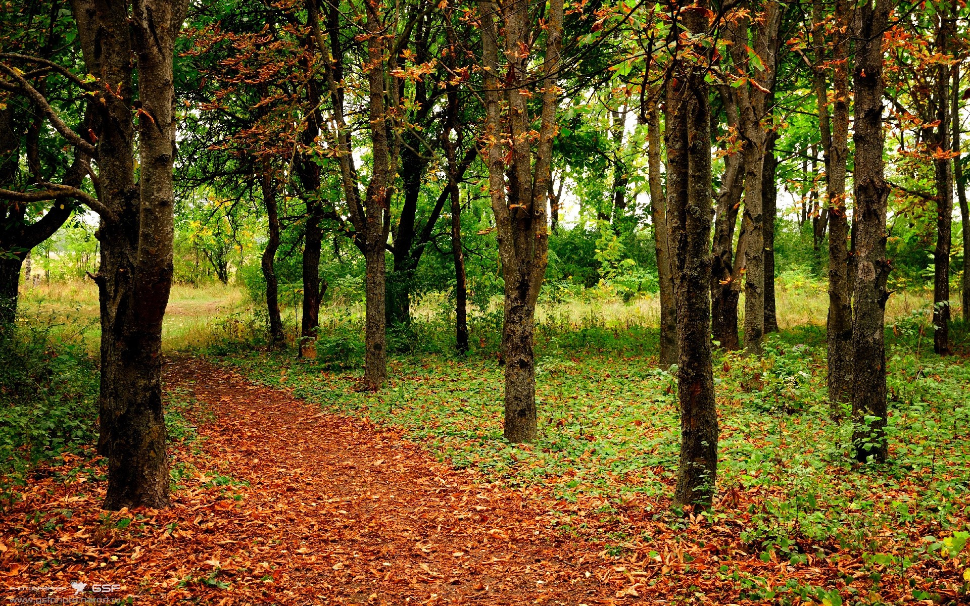 开云品牌-SN战队主场观众热情高涨，sn战队全称