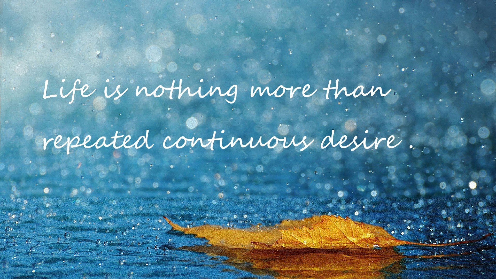 利物浦在2024年英超联赛中获得亚军,利物浦英超2021