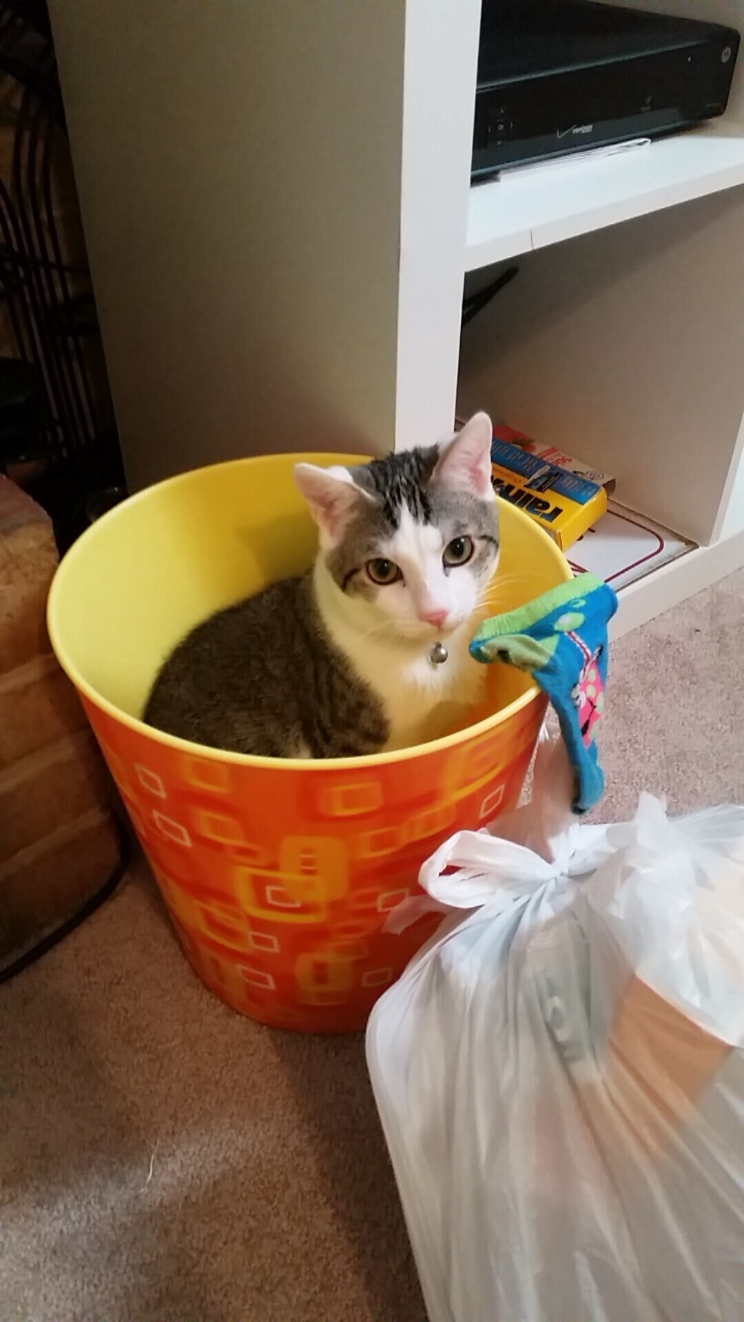 国王客场逆转狼队,取得惊险胜利,篮网逆转国王