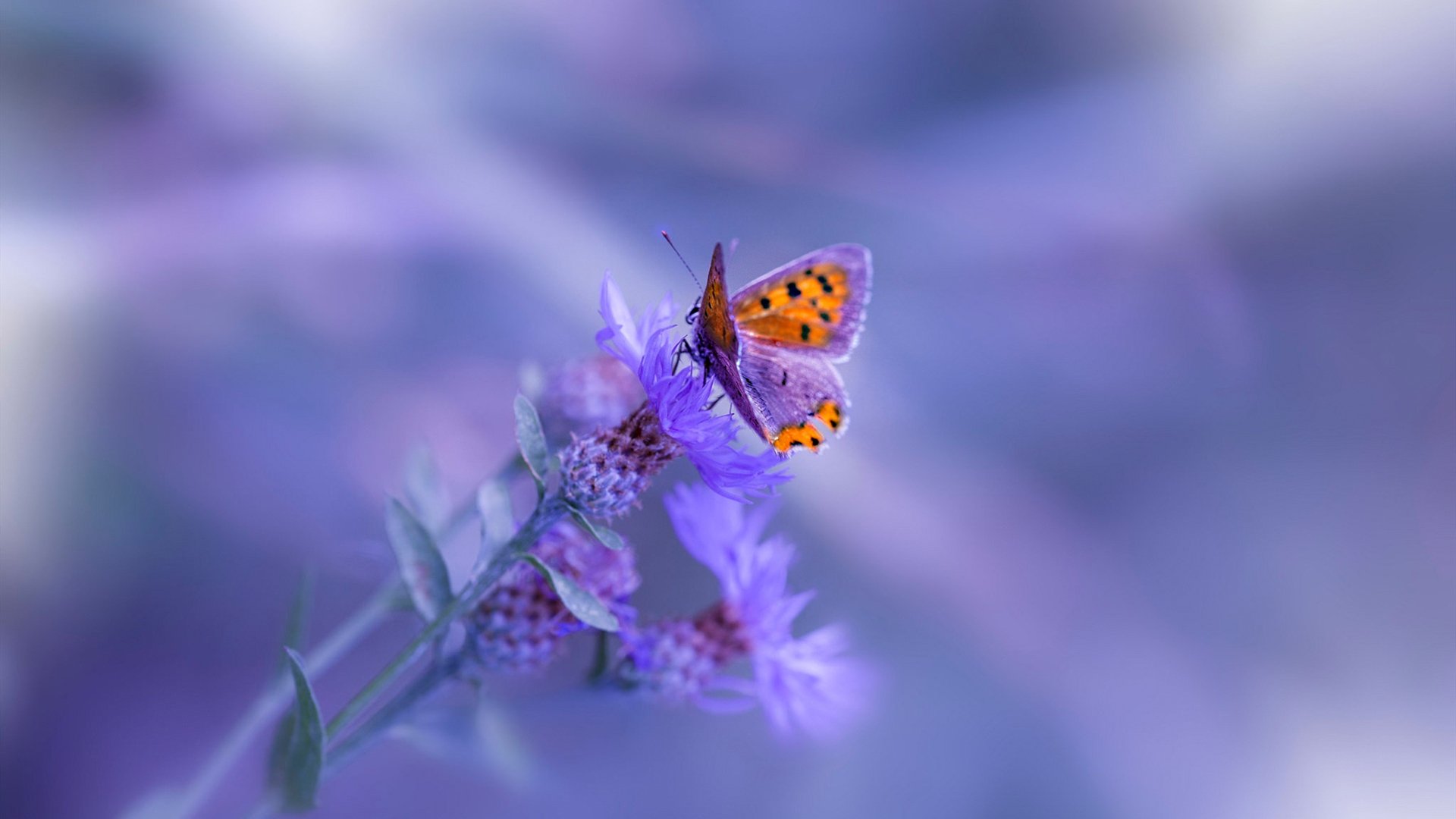 青训投资是否正在成为长期回报项目，青训投入