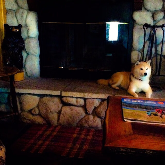 中国篮球联赛球队战术体系优化研究,篮球团队战术