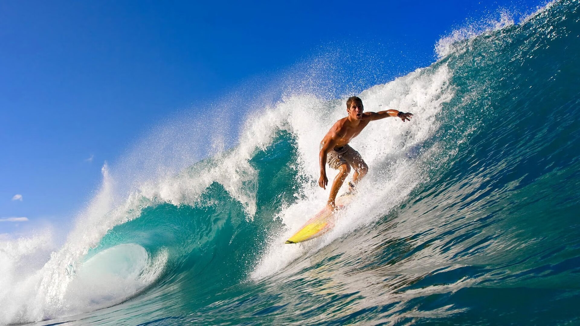 转会前线：本季最具潜力的青春球员盘点，近期转会的球员