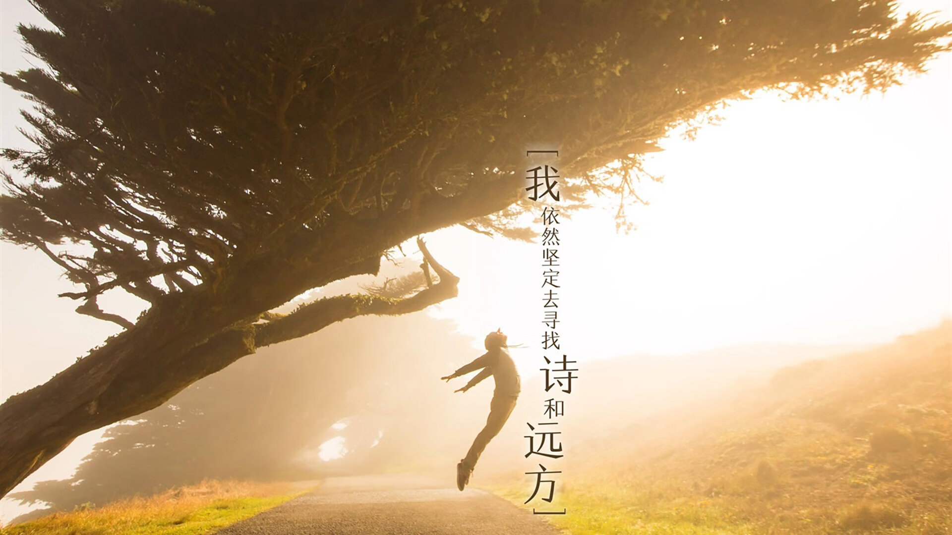 中超联赛中国女足战胜 球员表现赢得赞誉,2020年中超女足