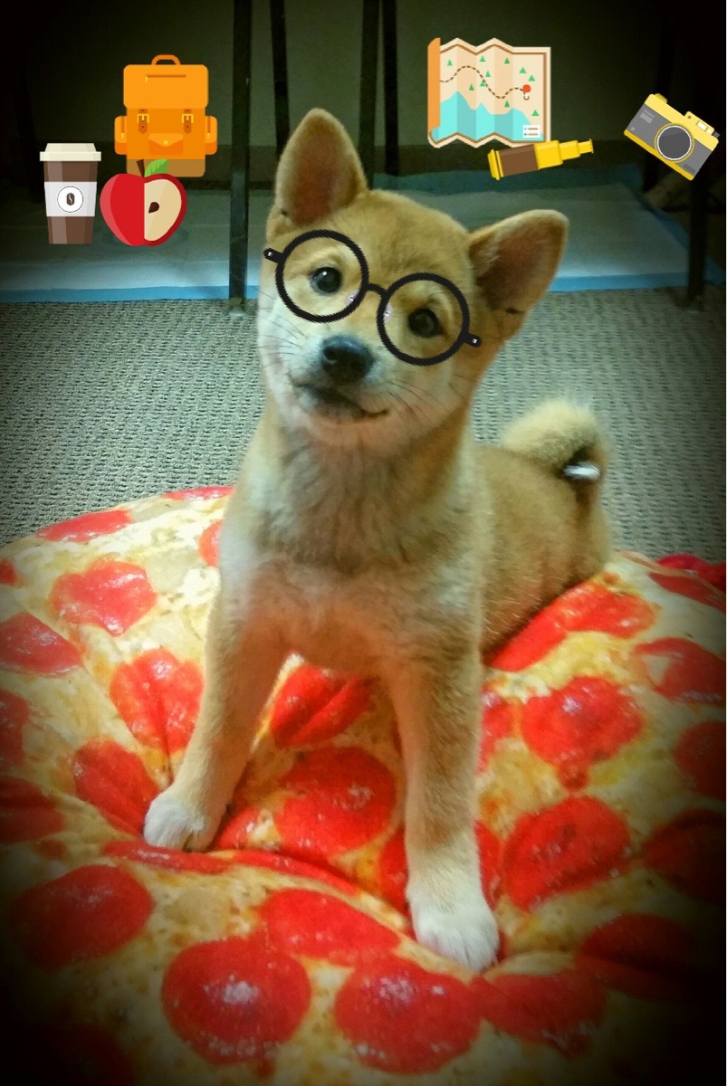 体育新闻中心发布体育数据隐私保护白皮书，最新的体育新闻报道在哪看