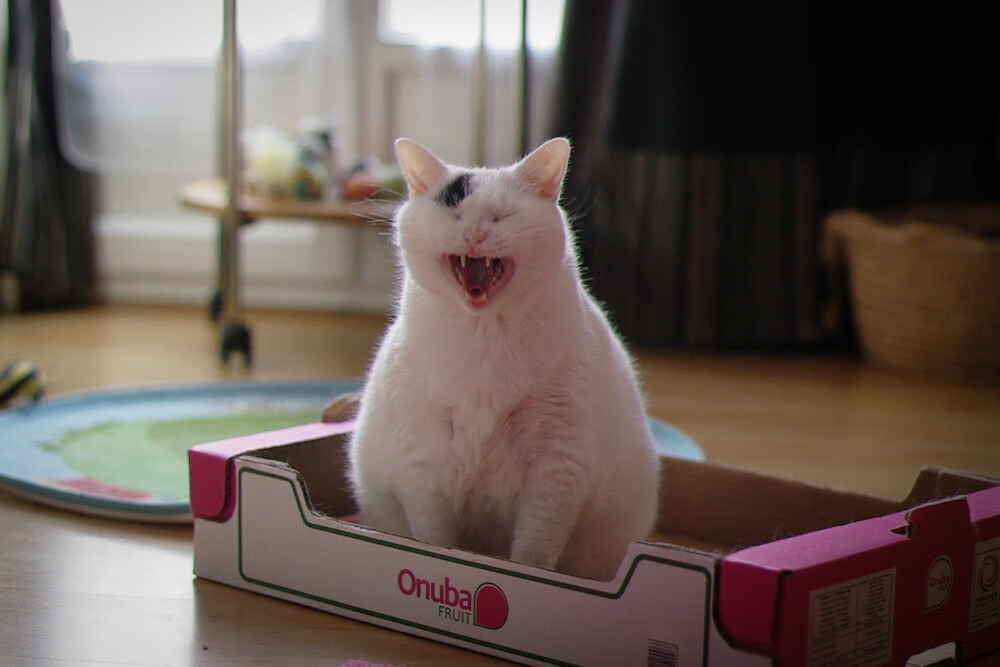 中小学篮球特色课程开发促进全面素质教育,中小学篮球教学方法有哪几种