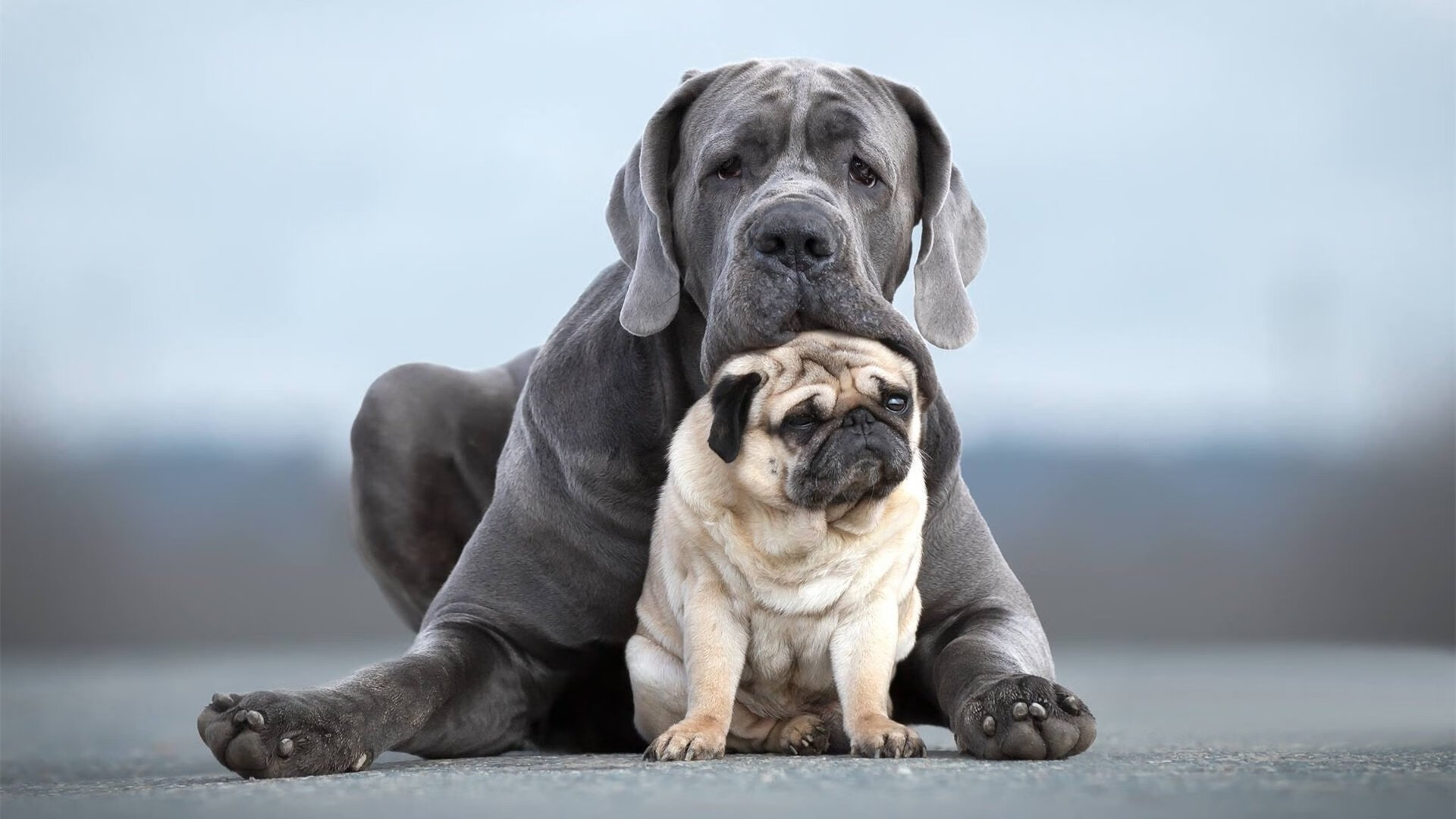 中国足球青训教练员技术提升培训班开班,中国足协精英青训教练员培训