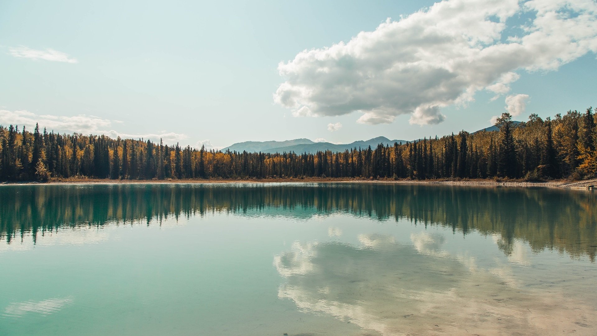 美洲杯明星豪门争锋:个人技术与团队配合完美融合,美洲杯著名球星