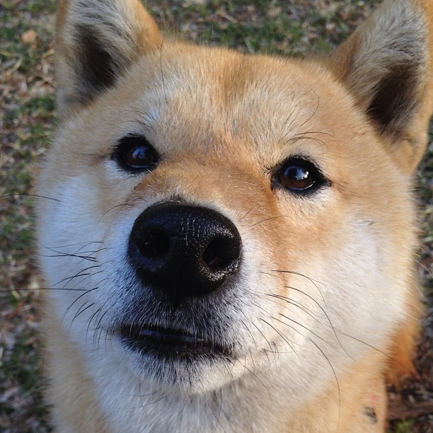 高校篮球赛事纳入毕业评价项目推动体育素养课程改革，高校篮球联赛竞赛规程