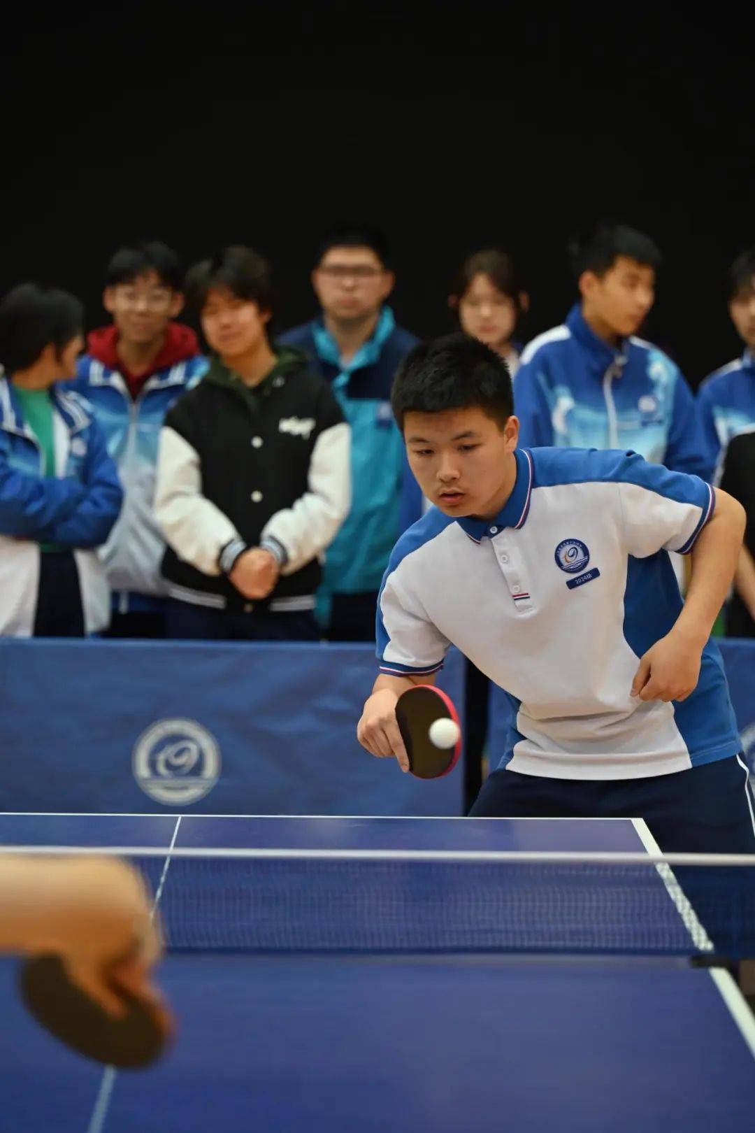 各大体育赛事中的社团组织与支持