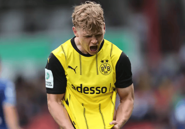 包含多特蒙德的新星:年轻力量的崛起的词条 包含多特蒙德的新星:年轻力量的崛起的词条