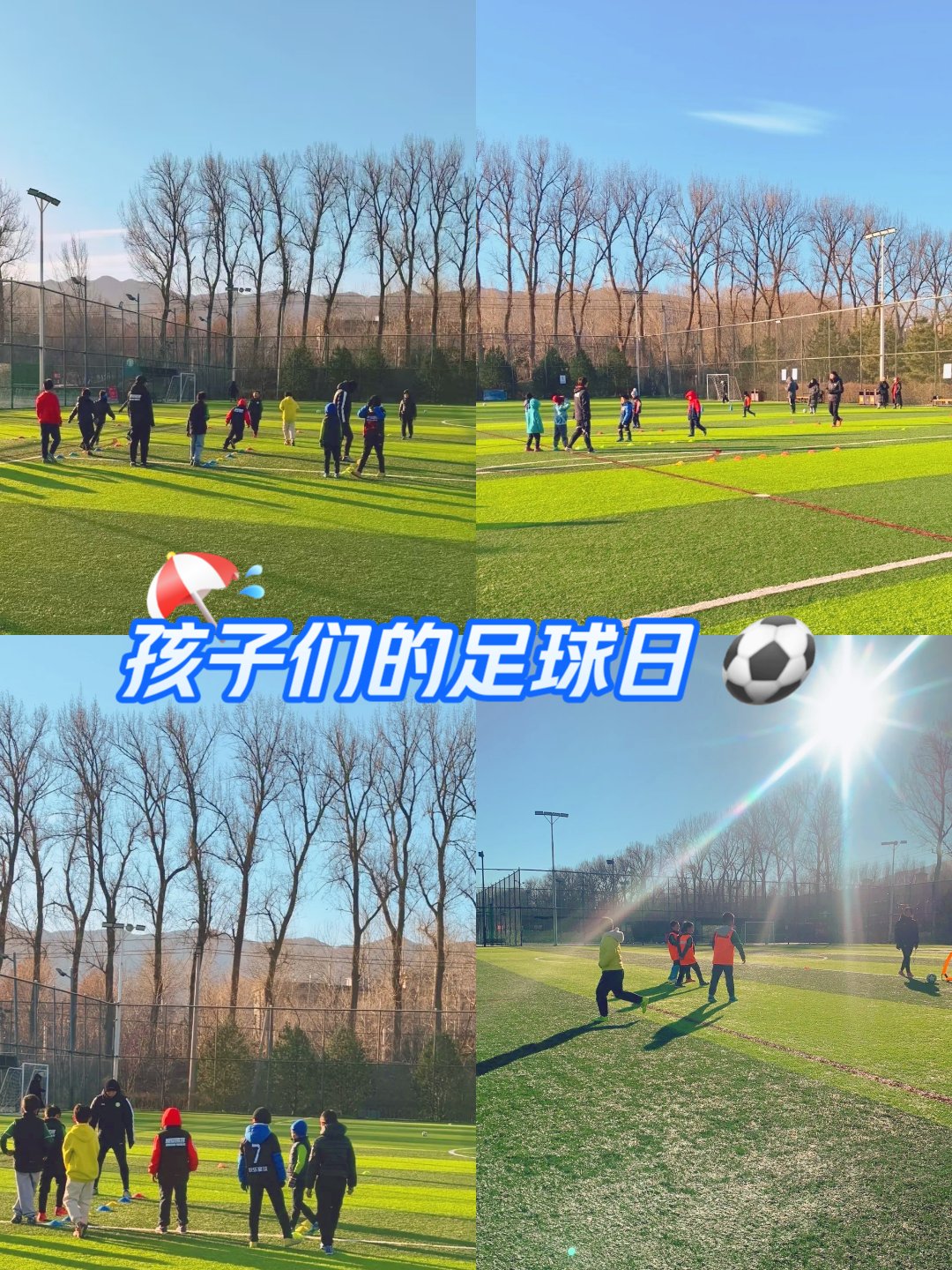 各国青少年足球的成功经验与策略 各国青少年足球的成功经验与策略