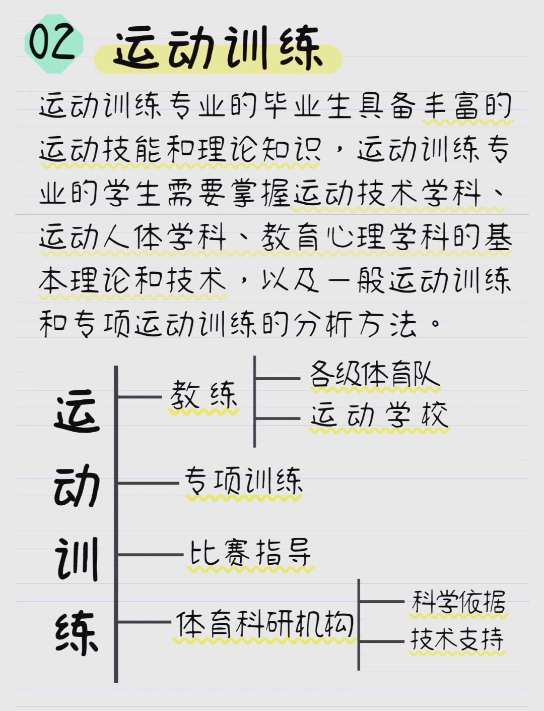 运动员的职业生涯规划与支持系统
